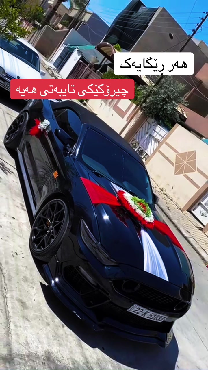 @hamaysheex
