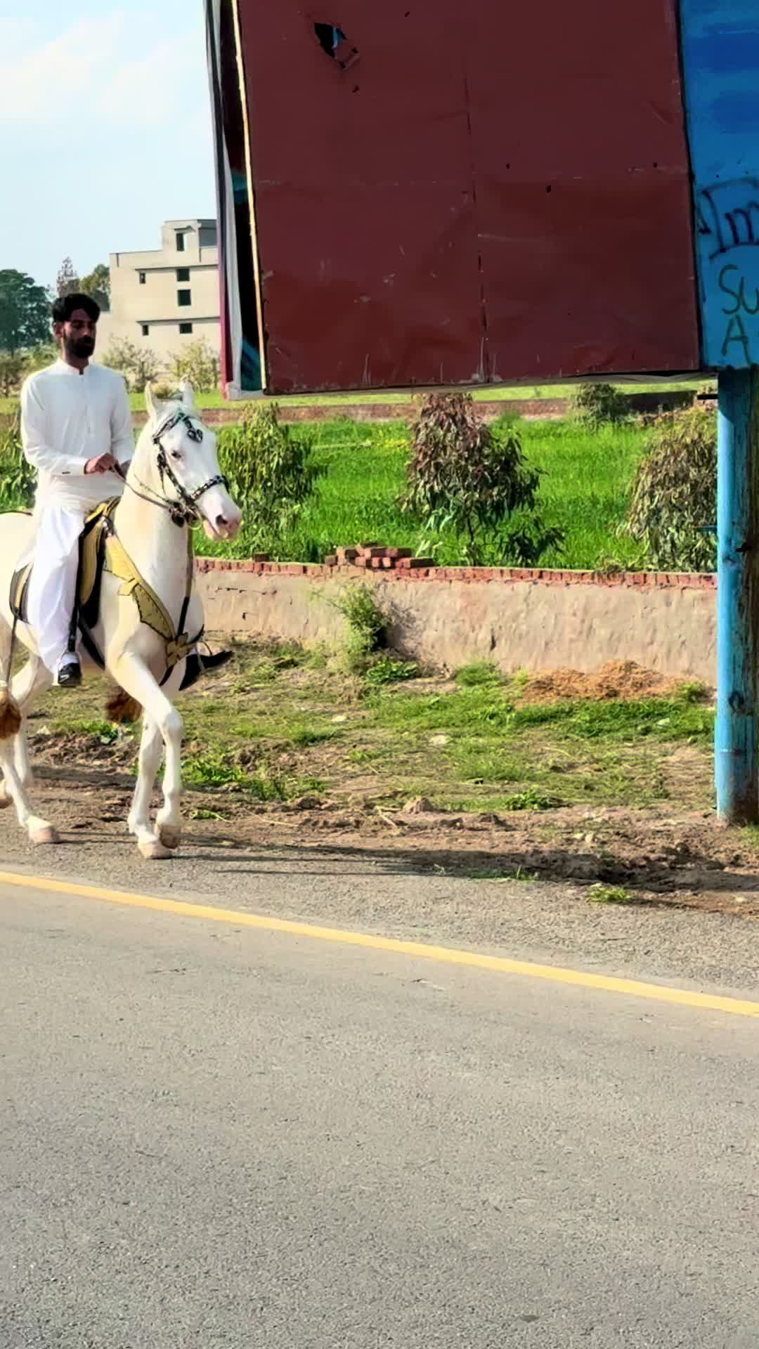 @کھرل  ہارس مین شپ کلب ڈنگہ