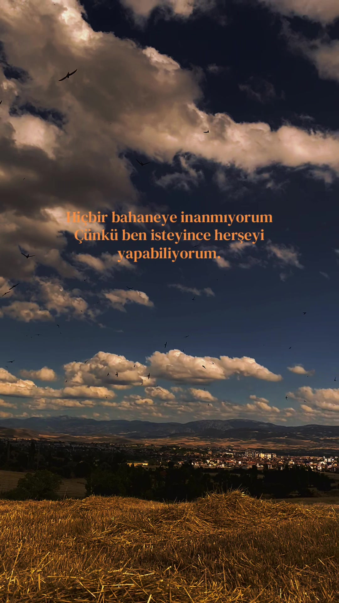 @Cansu ރ