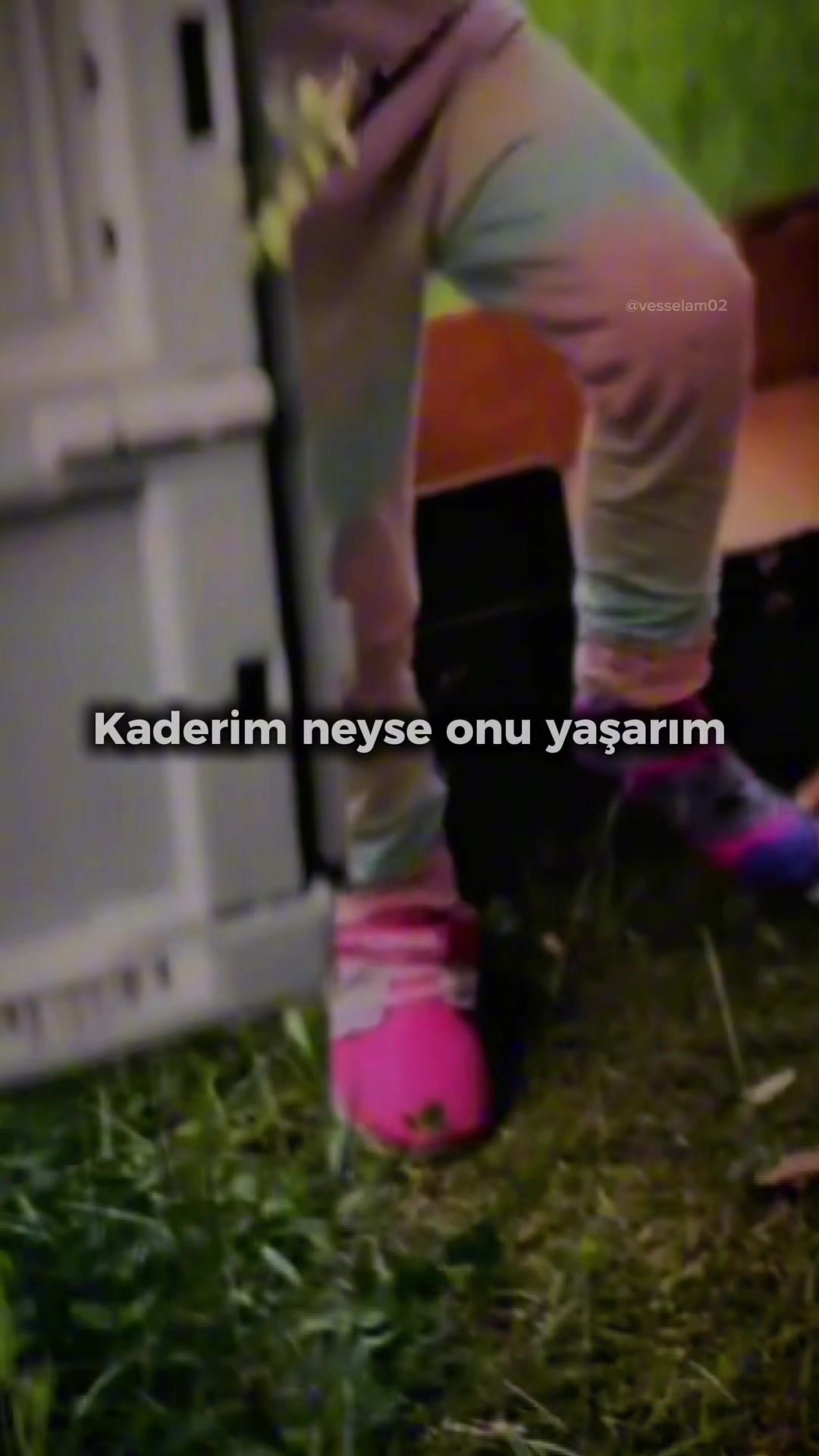 @vesselam02