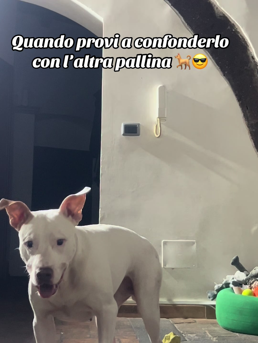 @M@x K-99