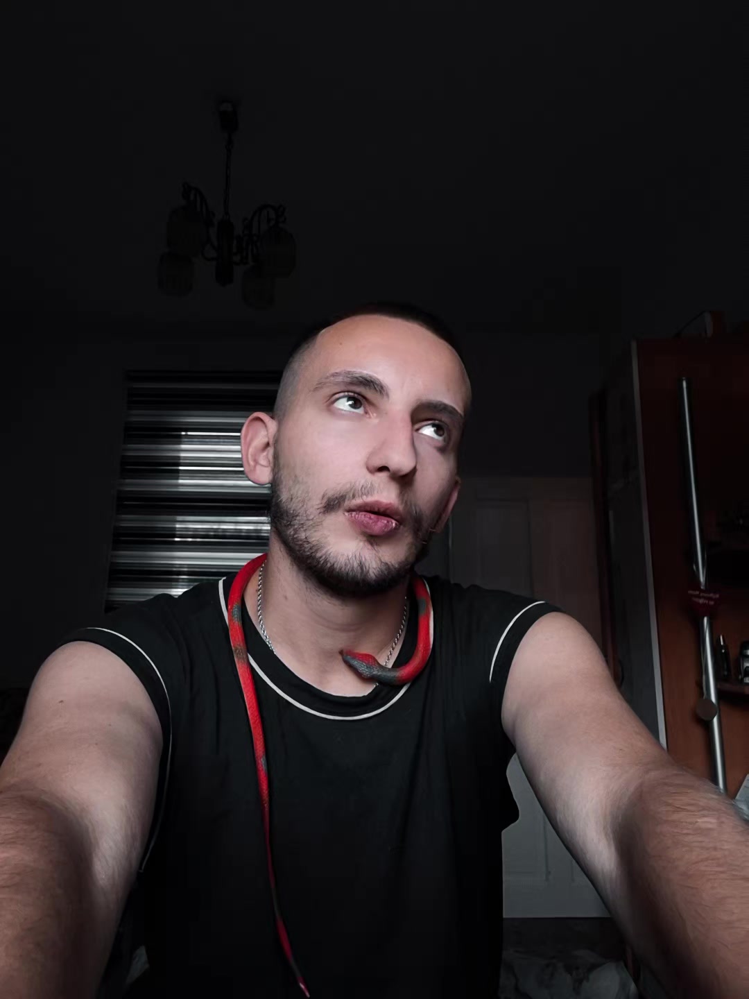 @Mehmed
