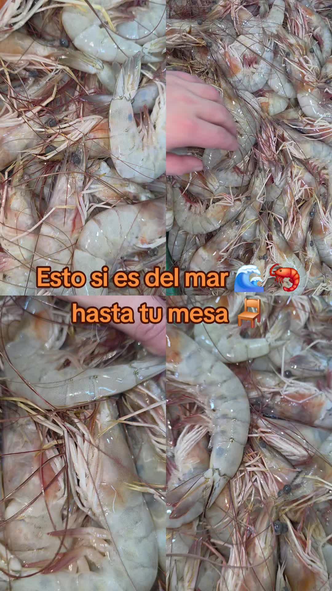 @Fish Store