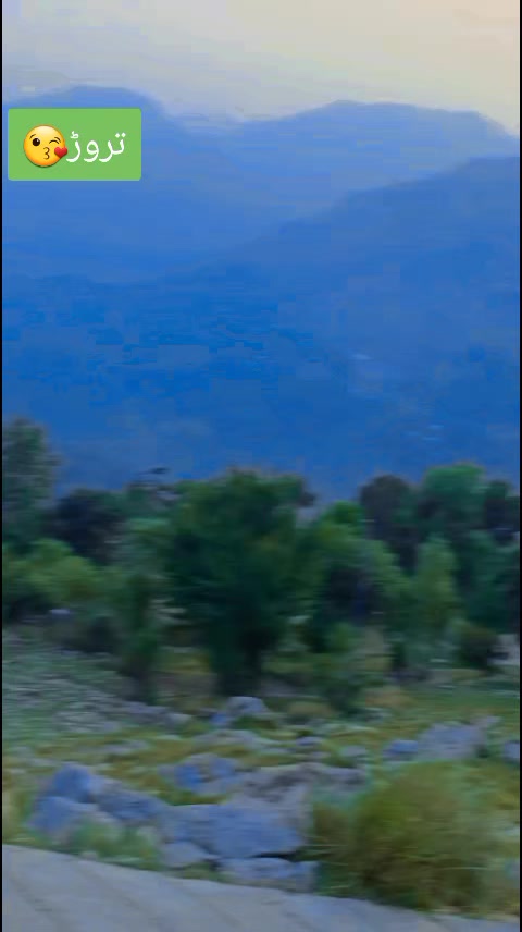 @Munazir_Abbasi👑