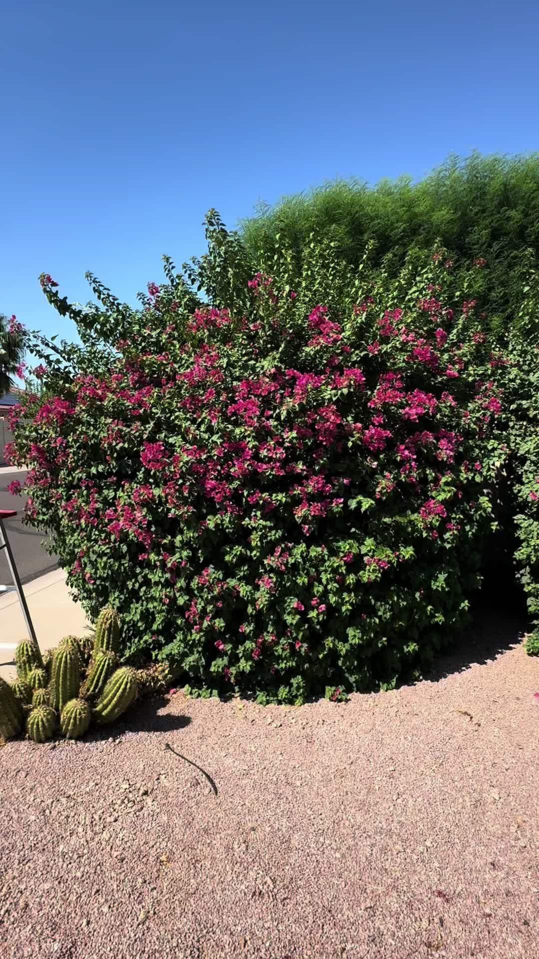 @landscaping