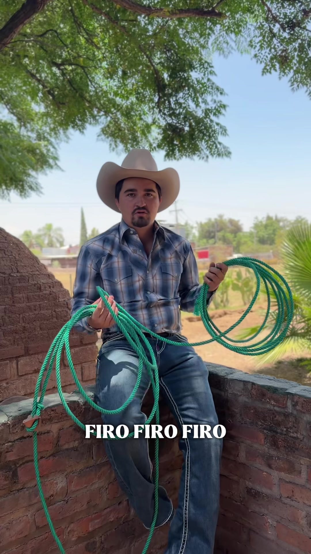 @Carlos Firo