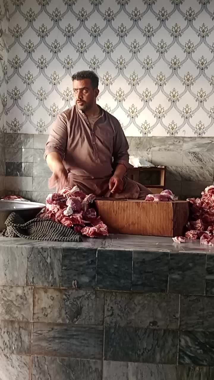 @user97660392473105
