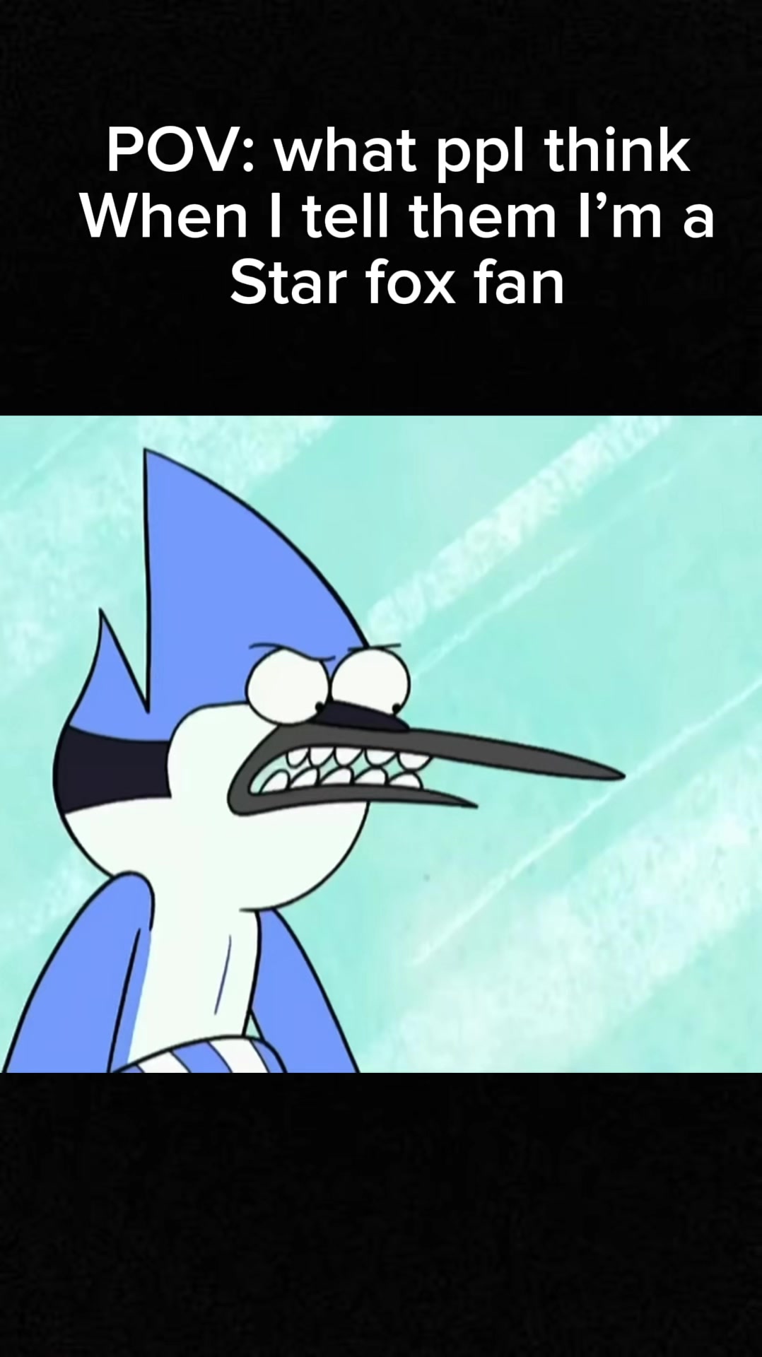 @willybobvidss