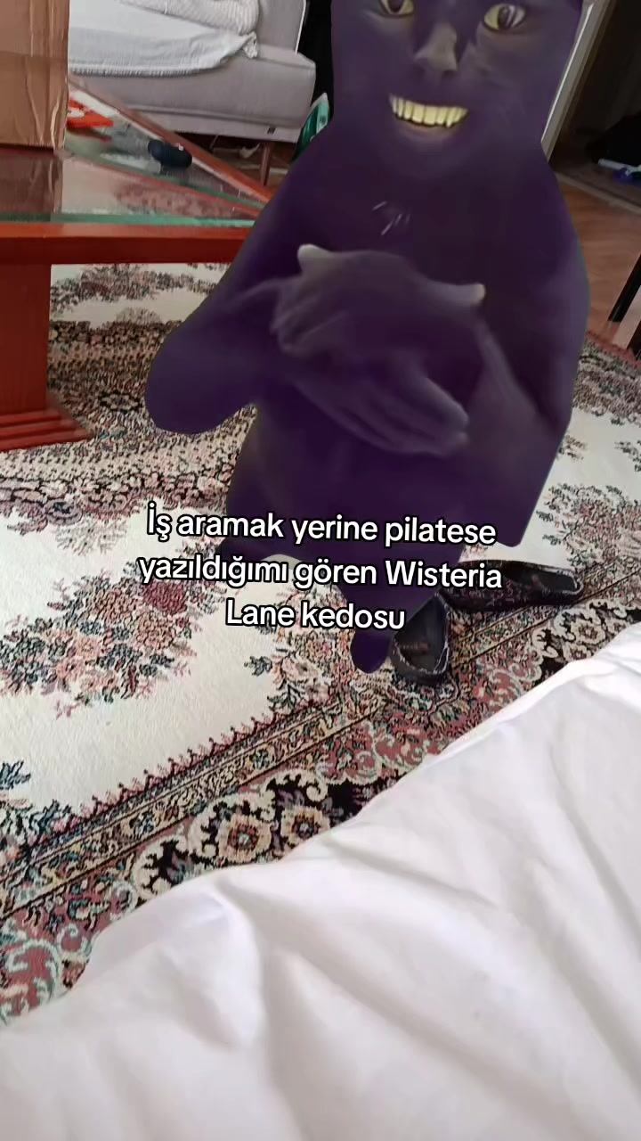 @acarlarinbilge