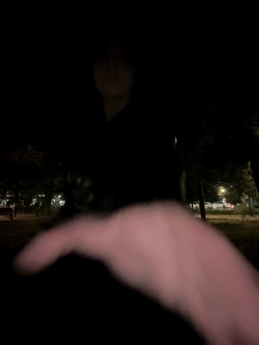 @ALINA