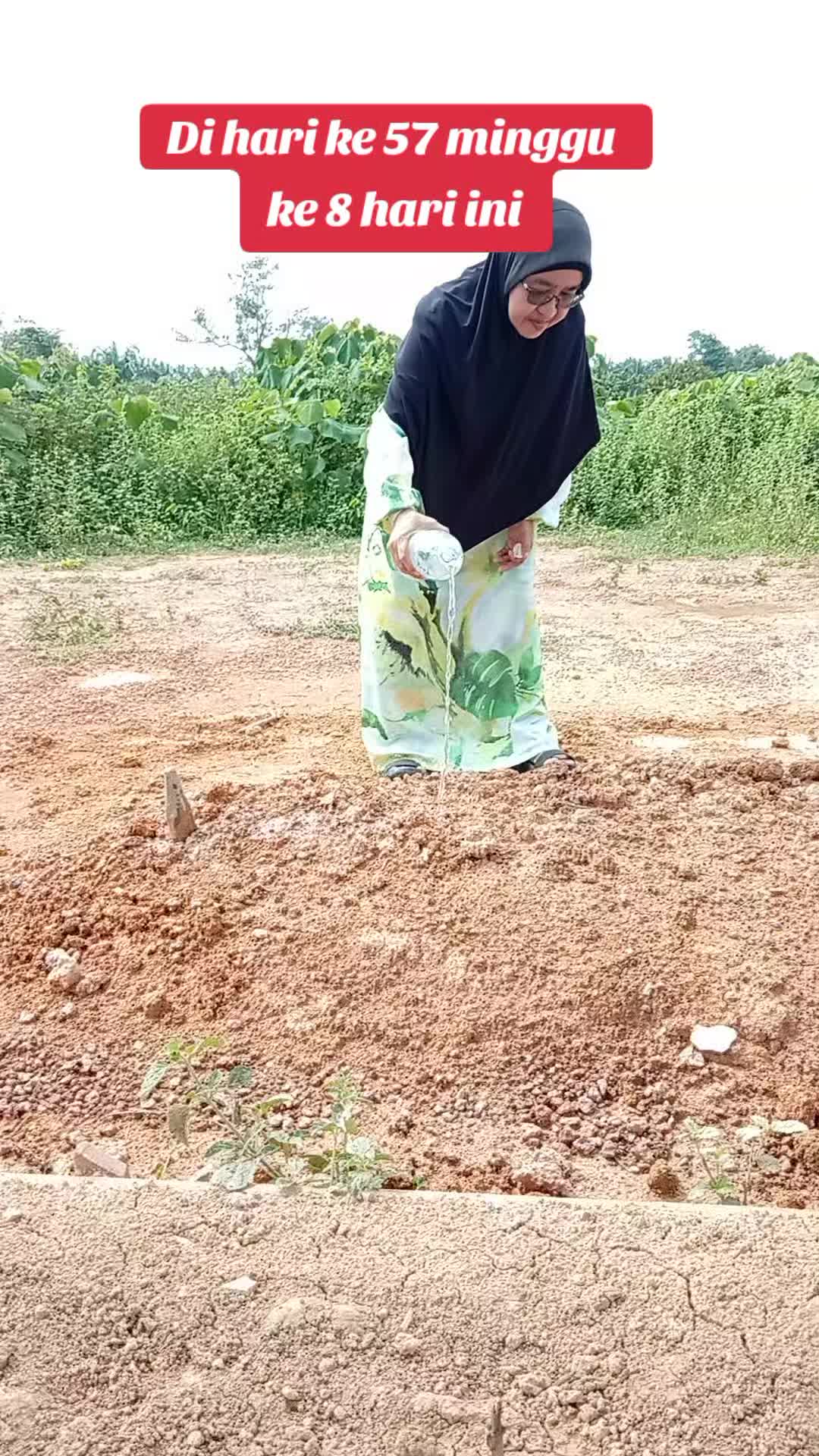@PUTERA SEMANTAN