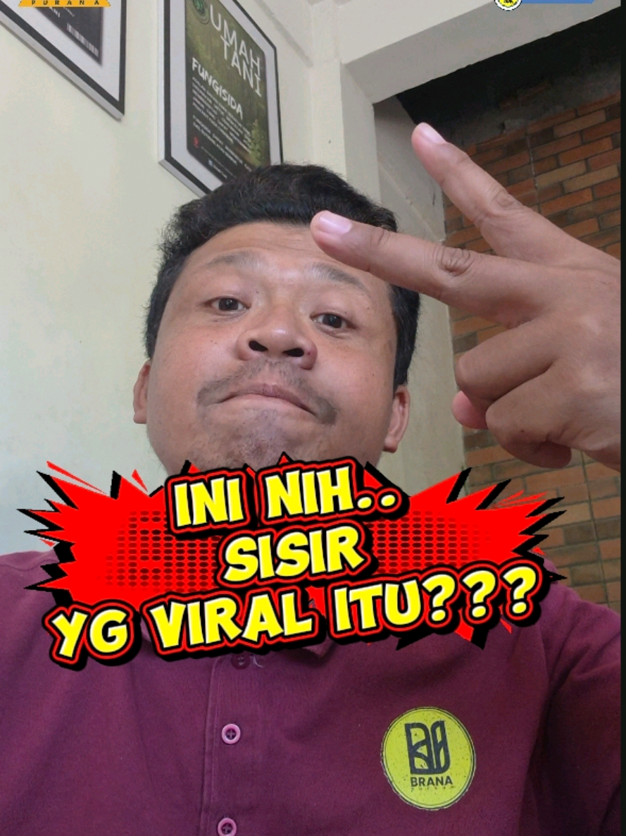 @Brana Purana