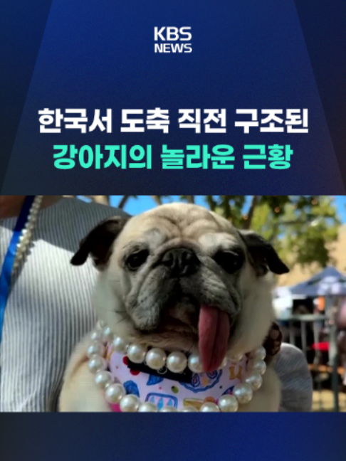 @KBSNEWS