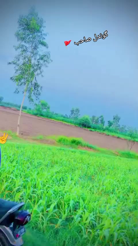 @sarfrazlailsb
