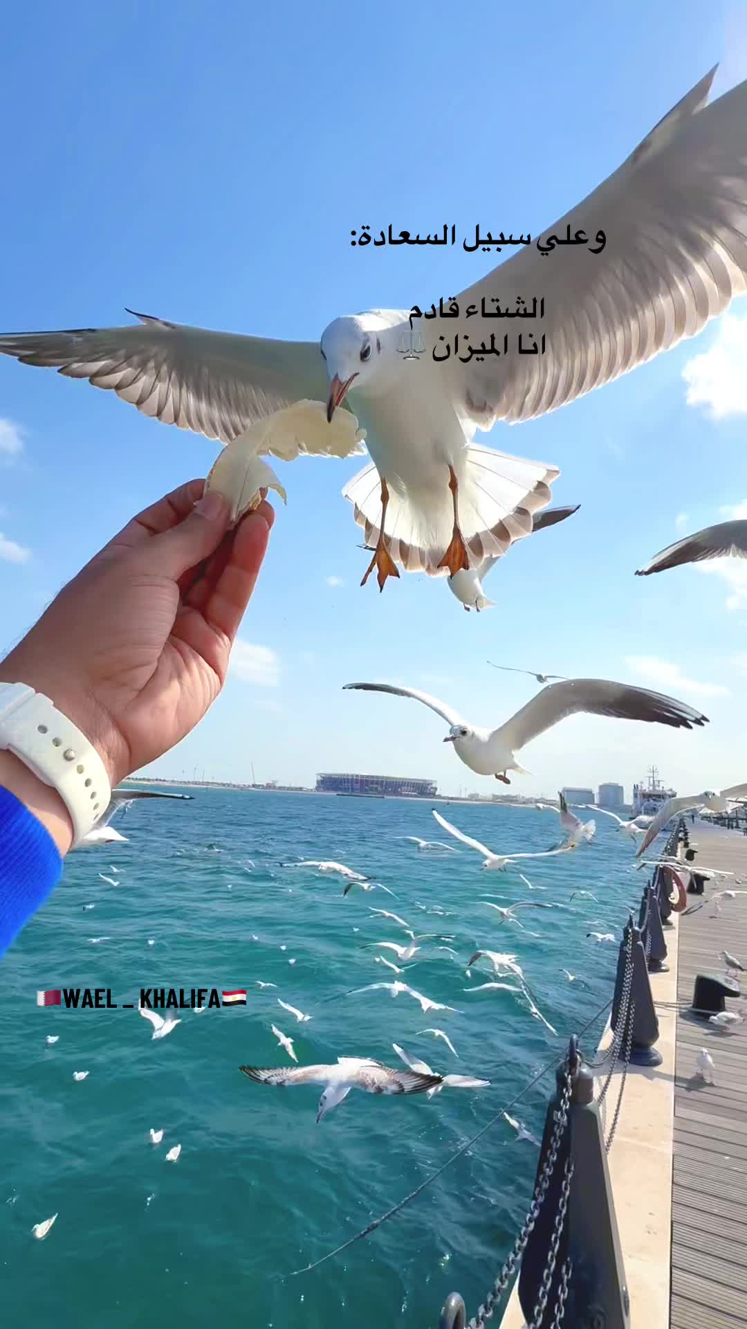 @🇪🇬WAEL_KHALIFA🇶🇦