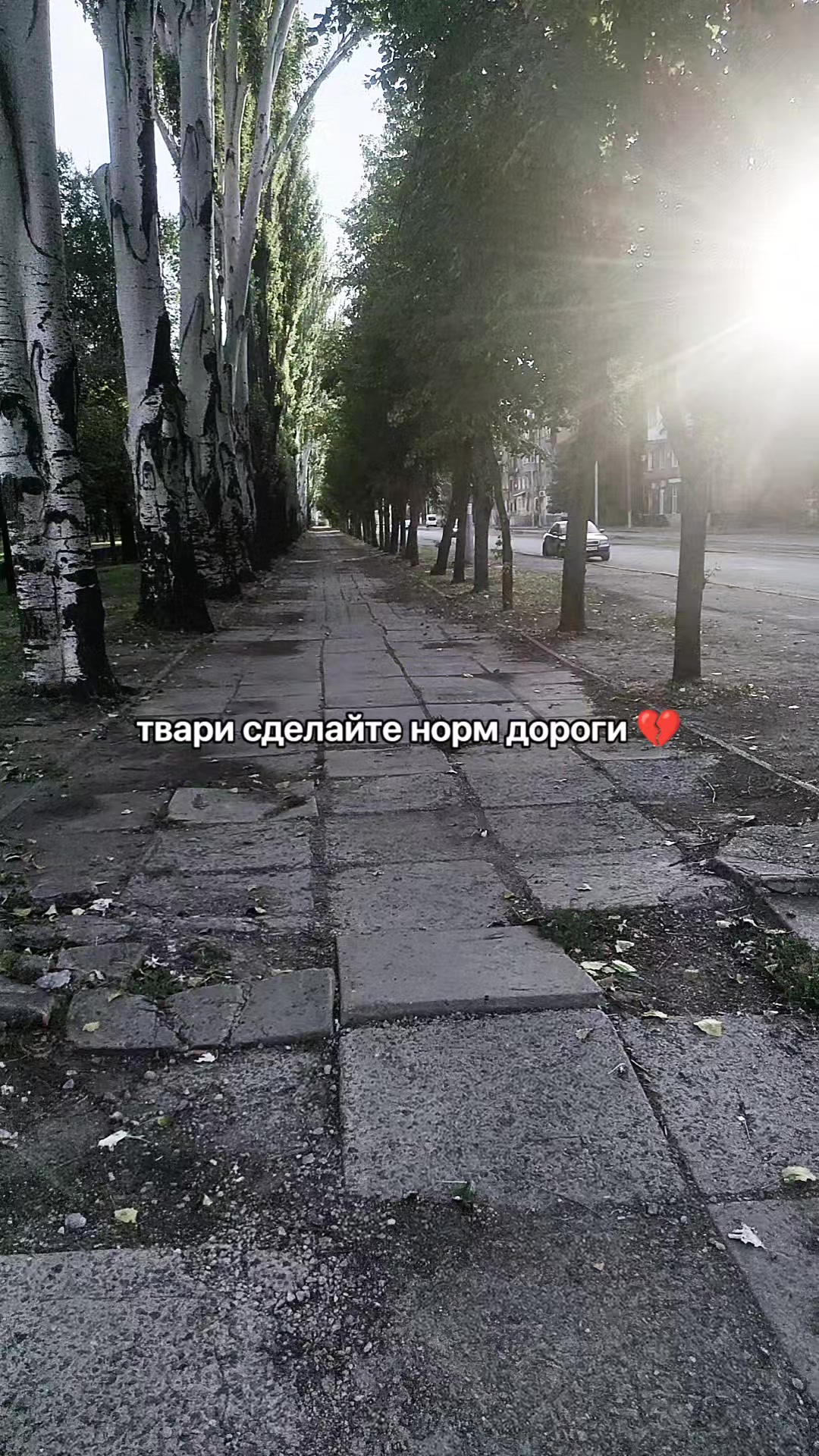 @morii