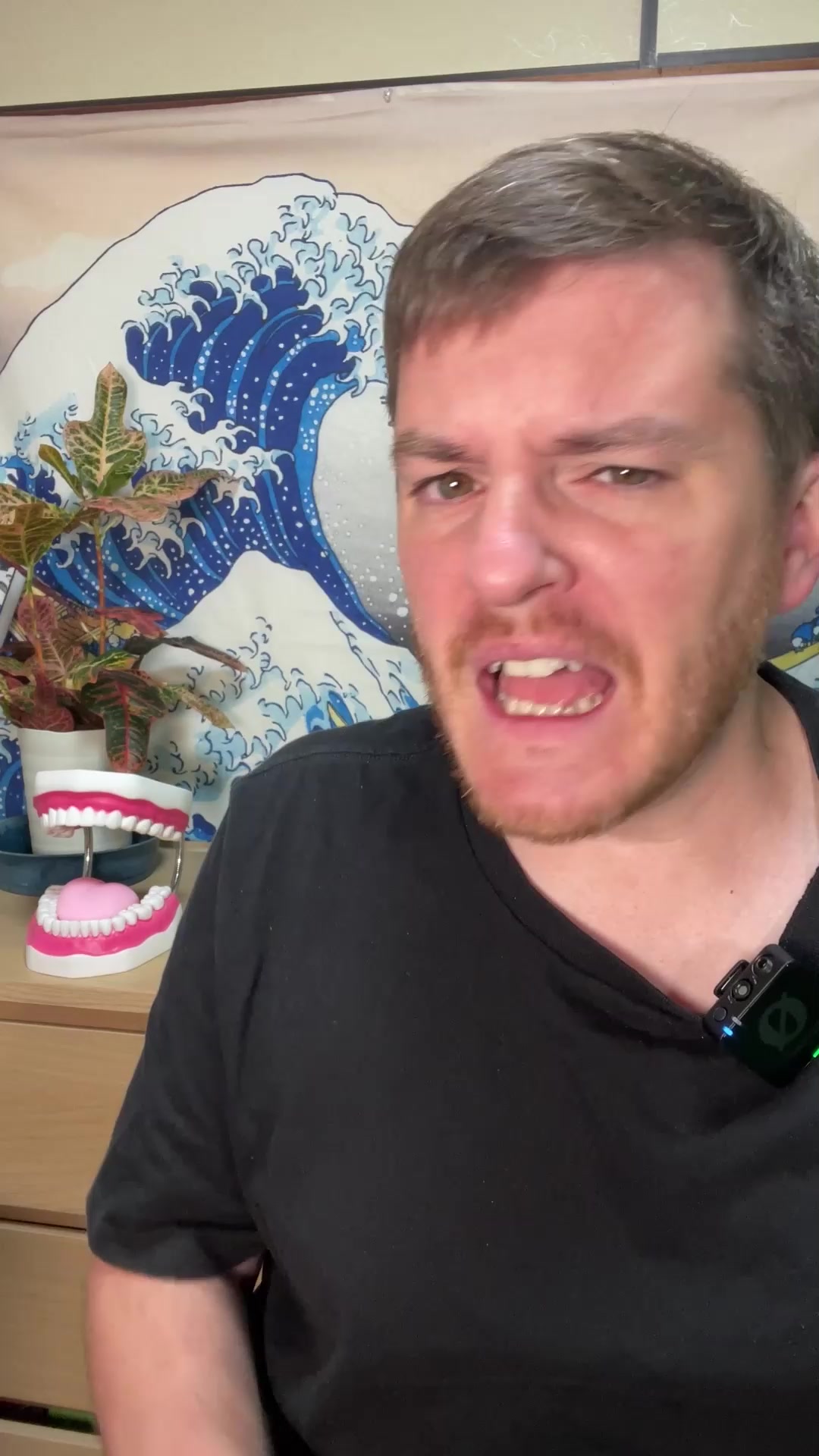 @Stew Sensei English