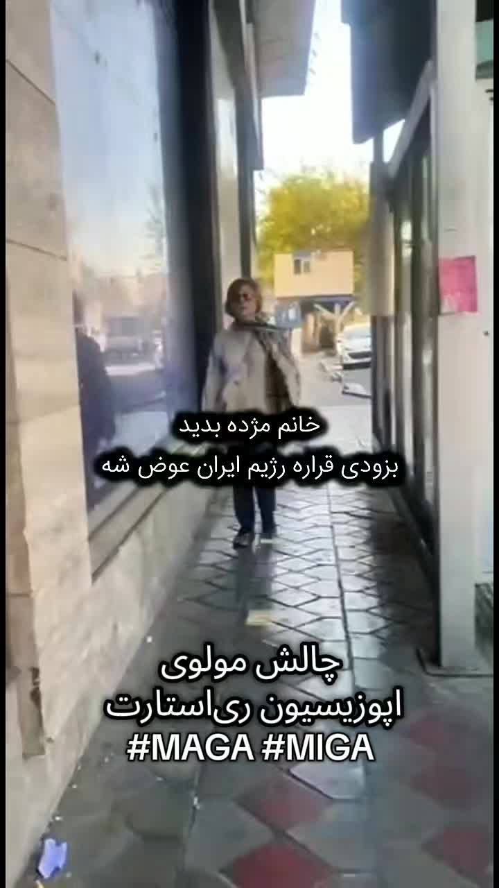 @Persian Lions