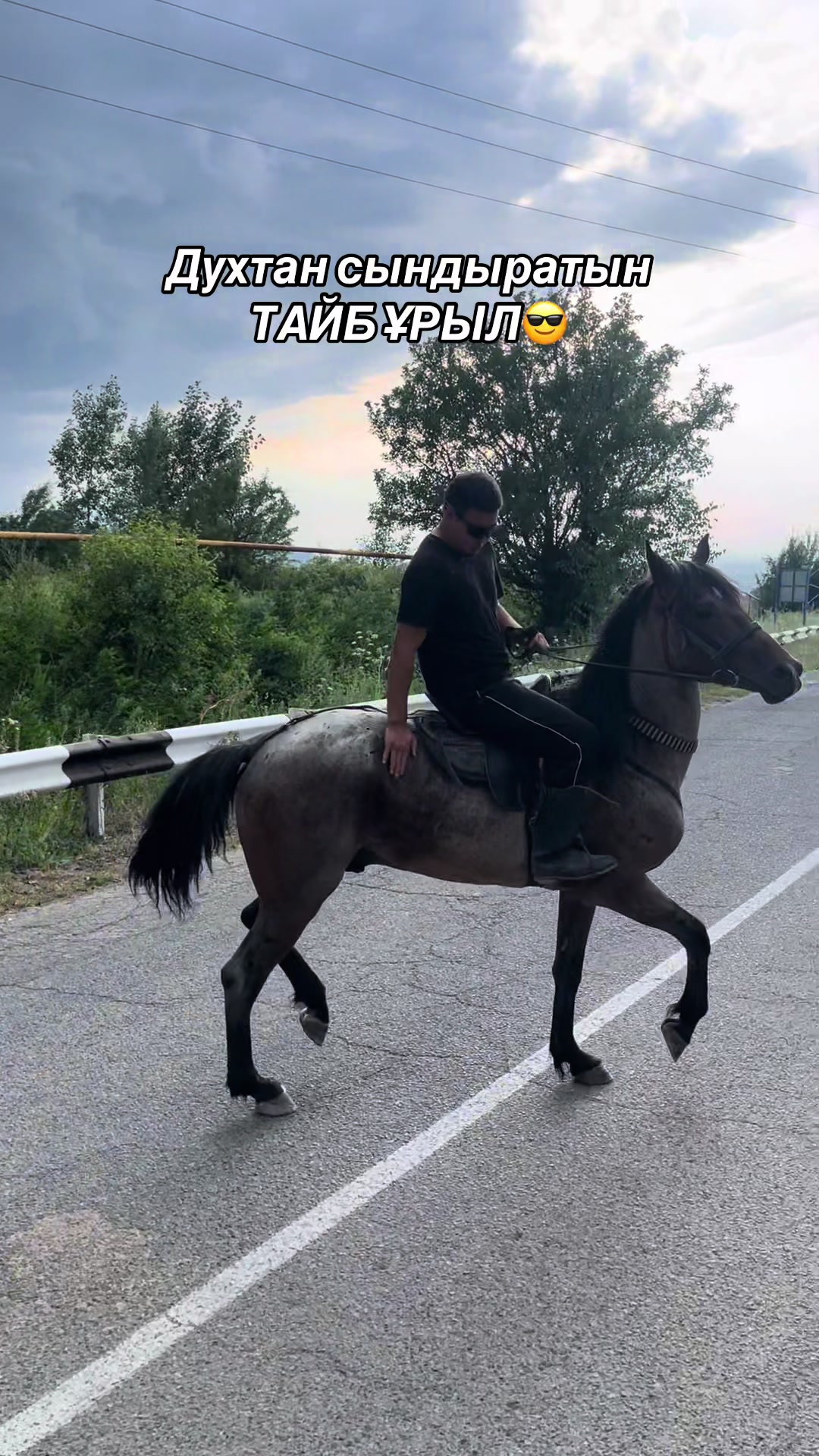 @akshatau_horses