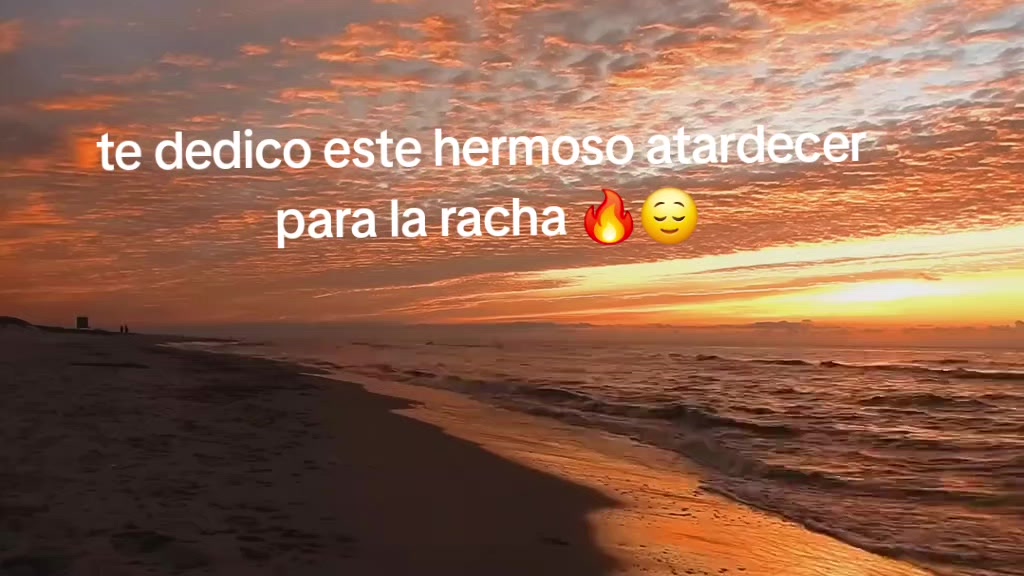 @angie