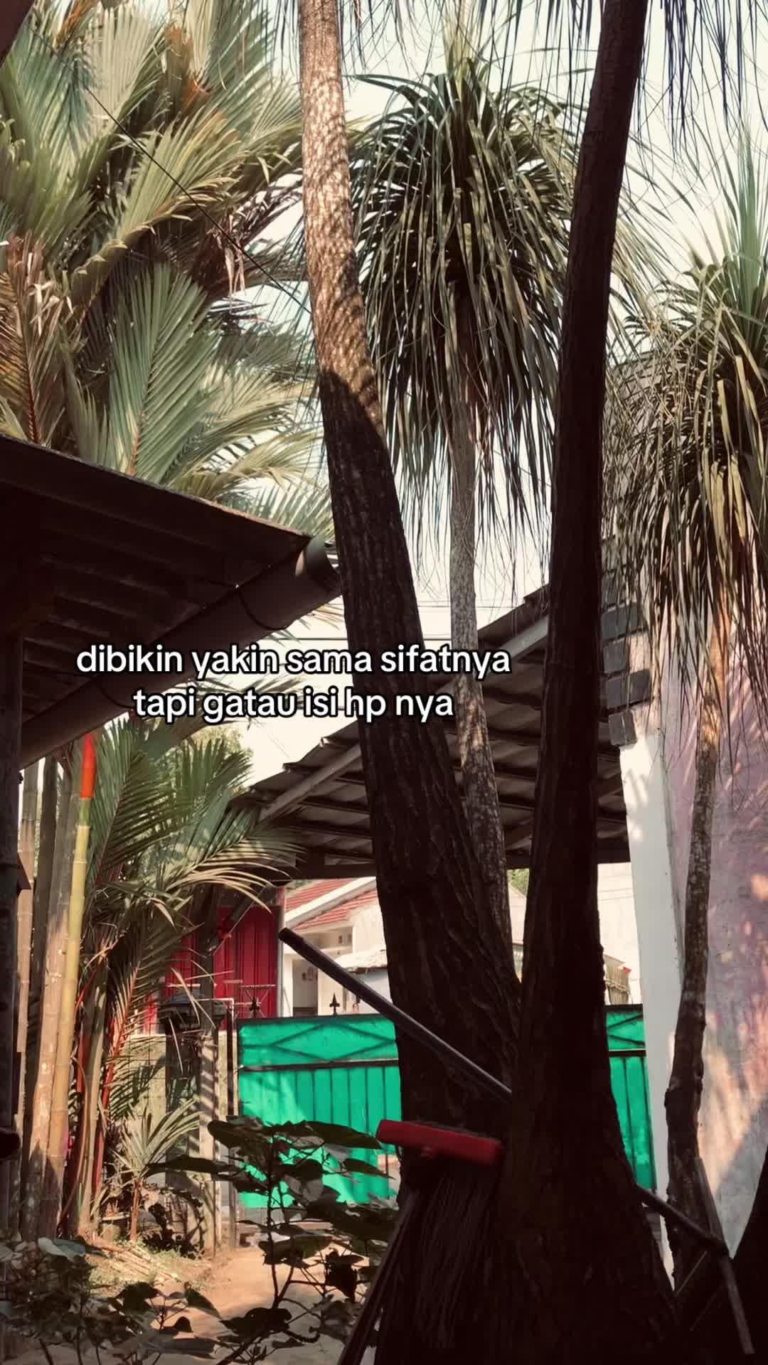 @andri💫