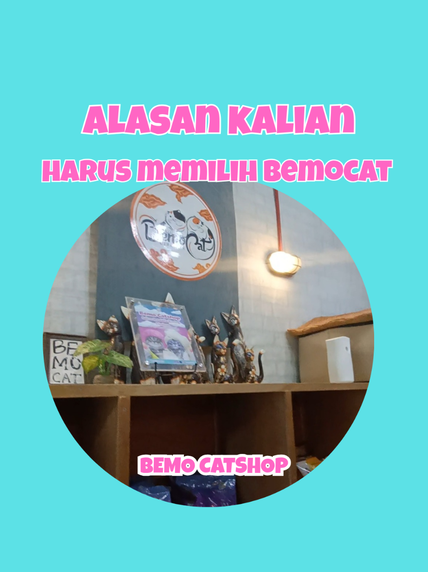 @Bemo Catshop