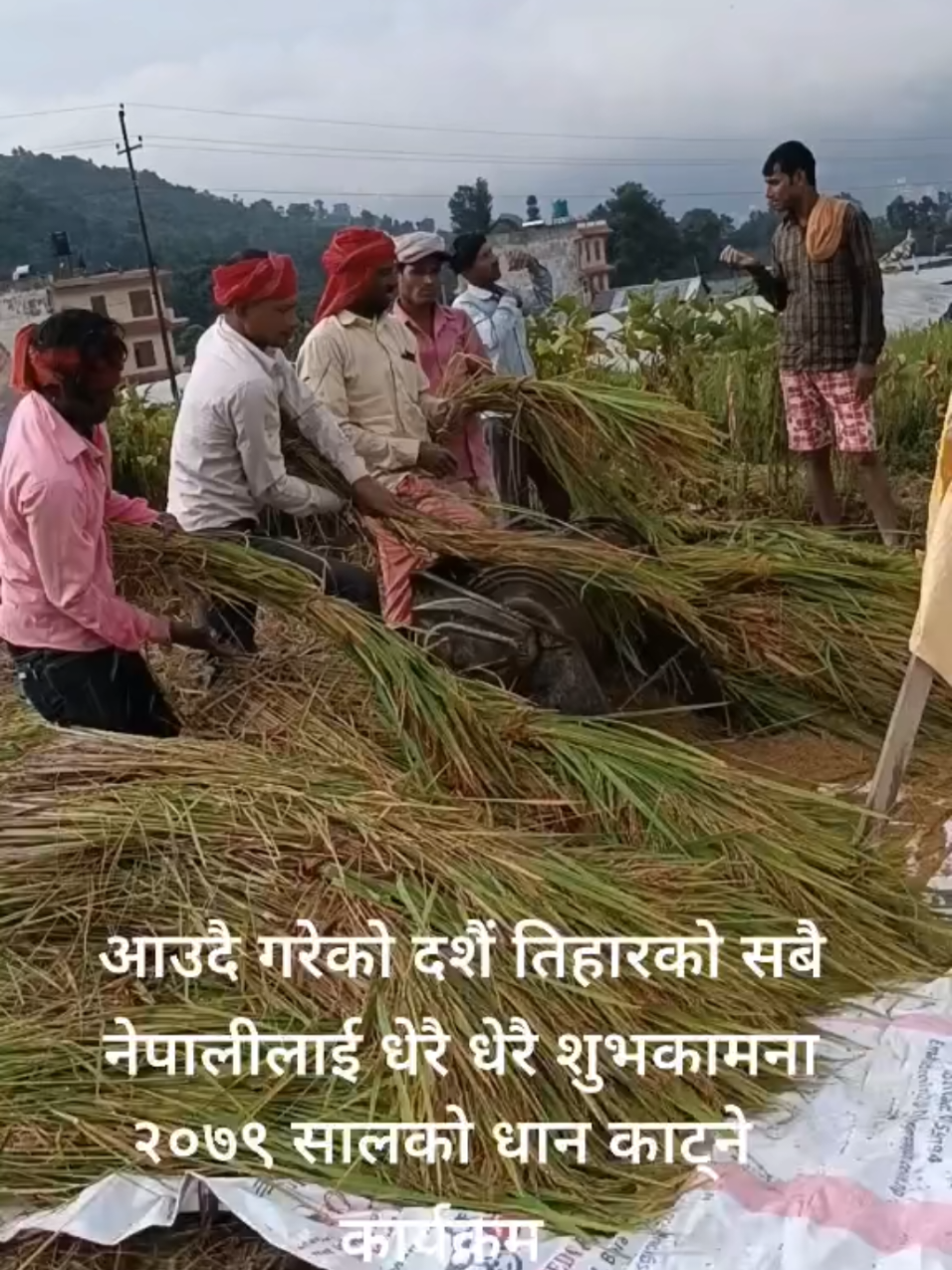@Bachchhu Ram k c