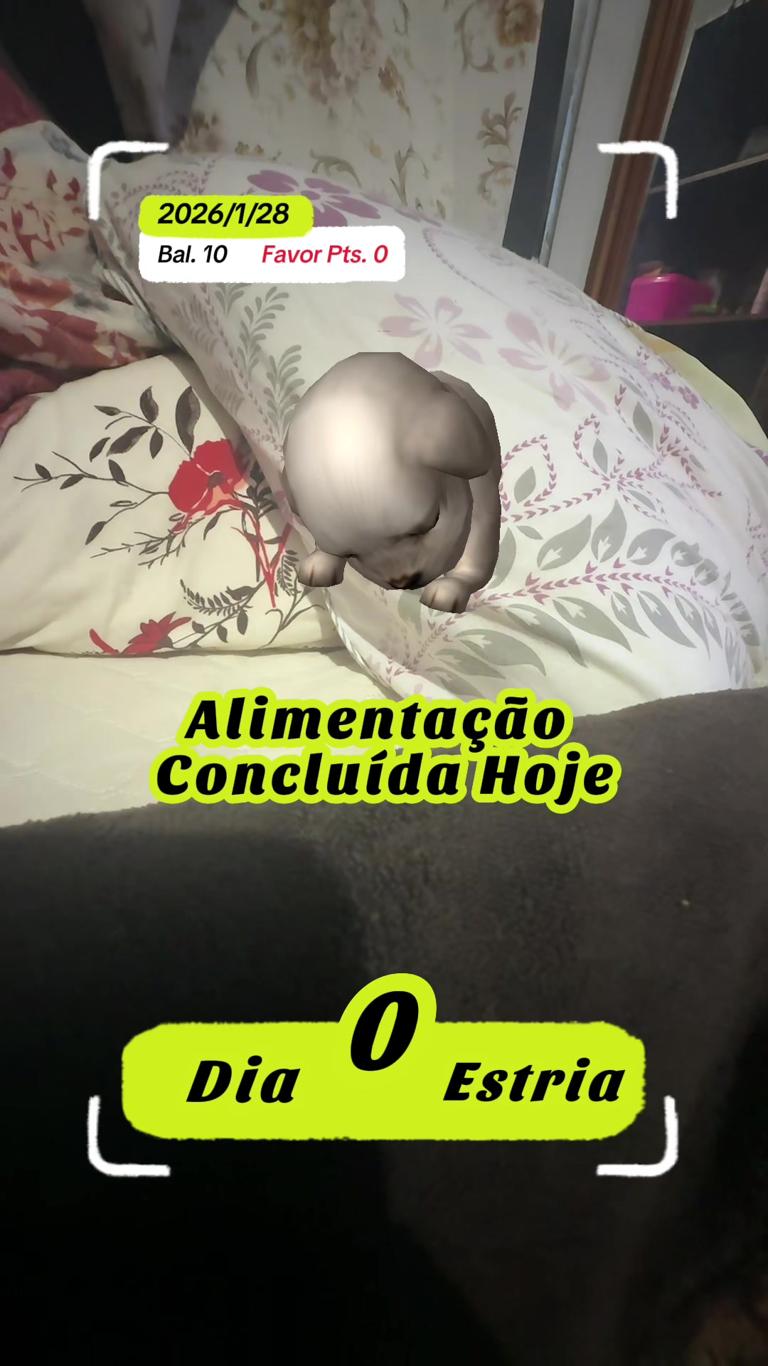 @Katia