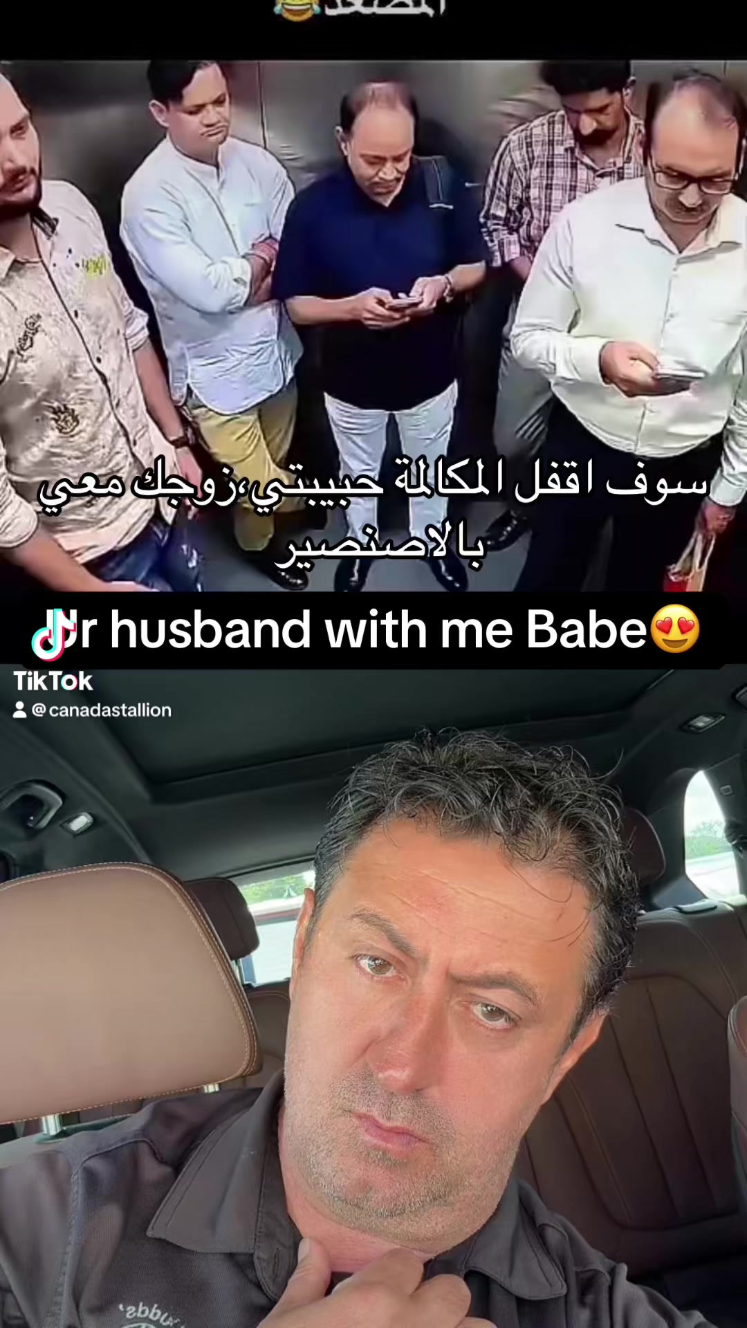@Canadastallion 🇨🇦 الأصيل