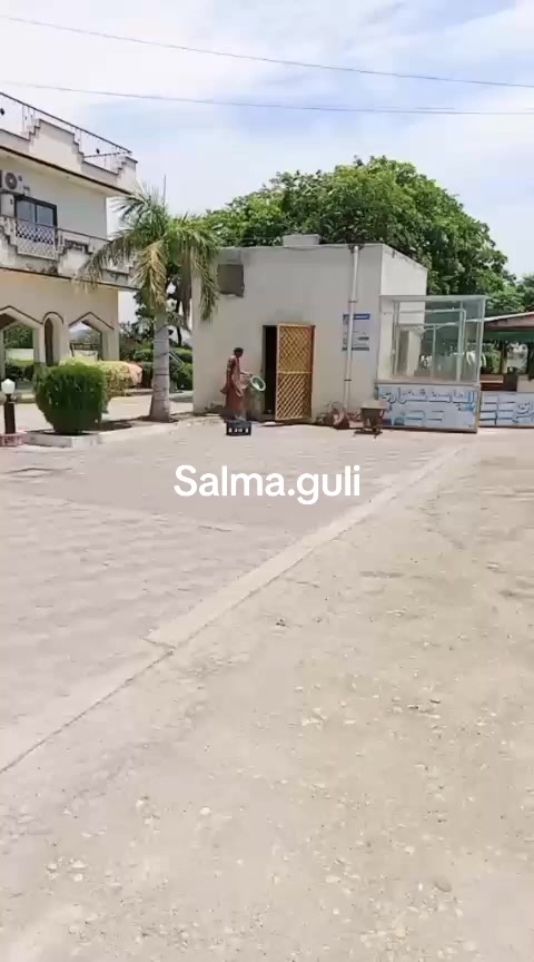 @Salma guli
