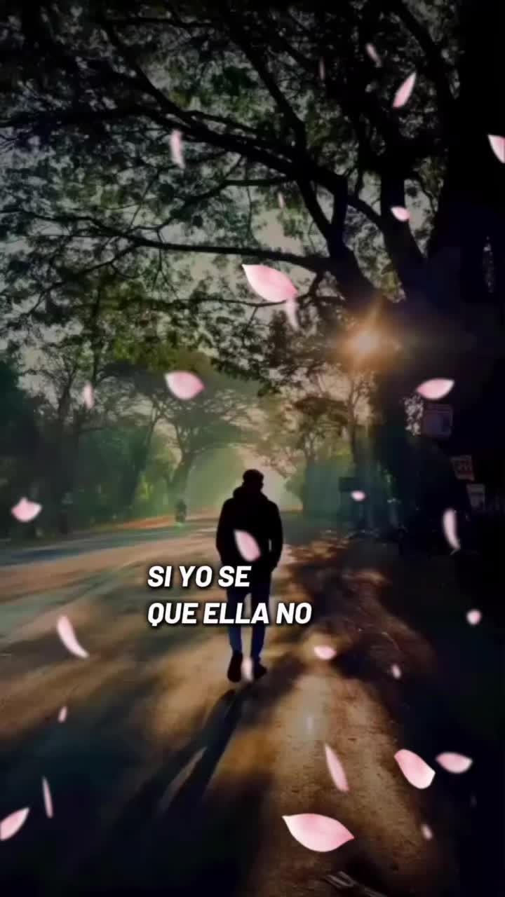 @tinodelcastillomaya