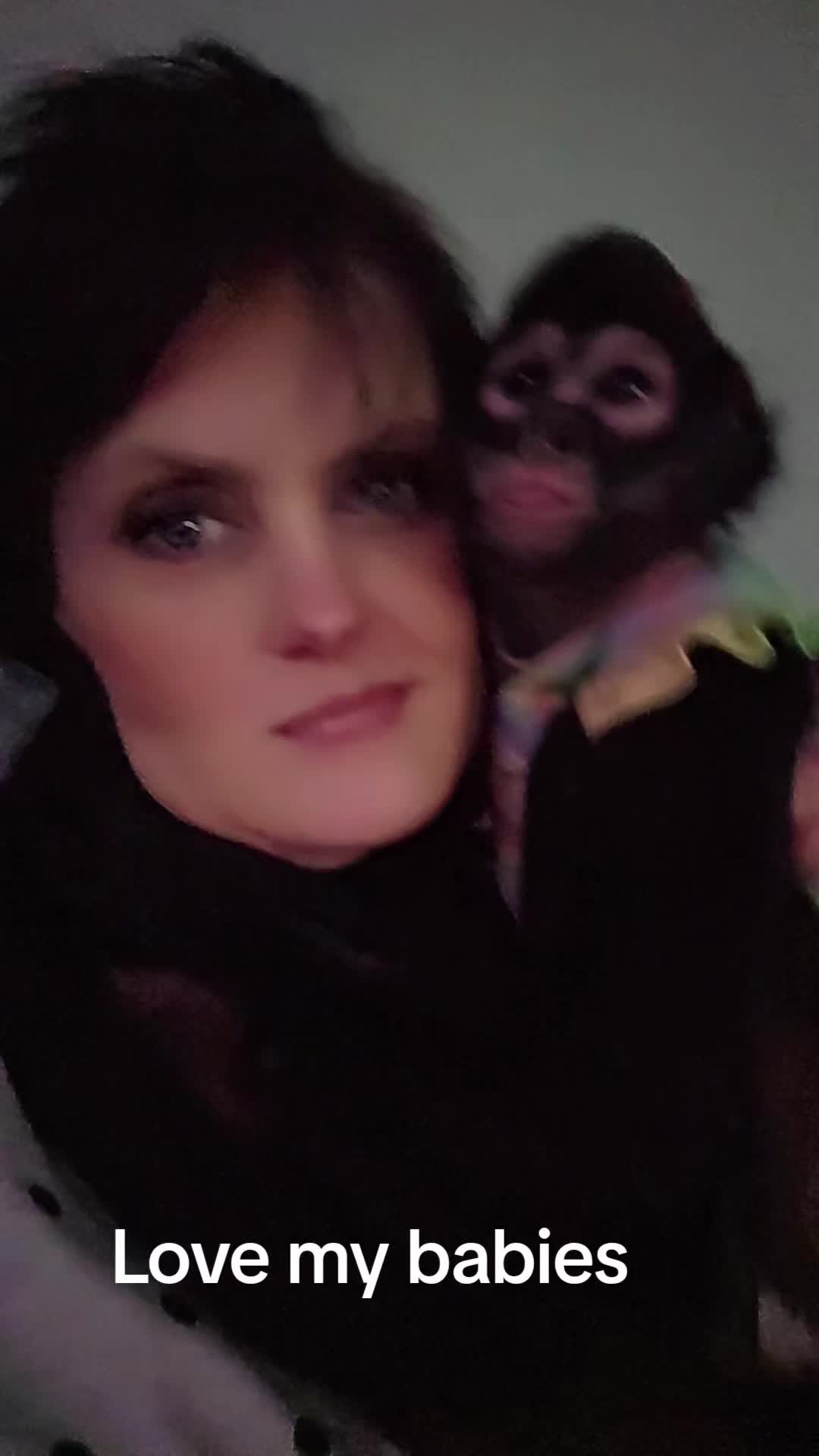 @It's🐵Monkey🐵Time🐵