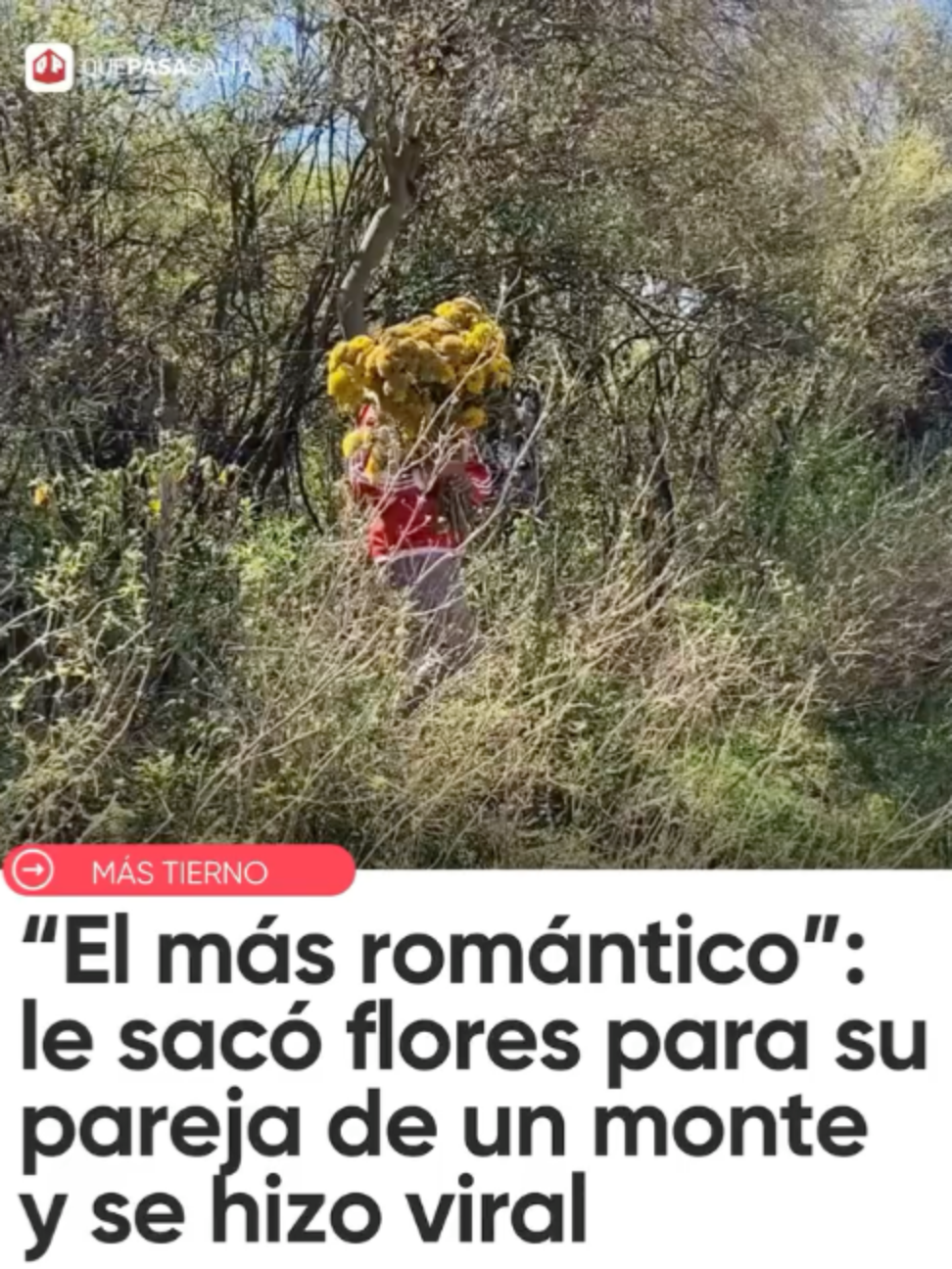 @Que Pasa Salta