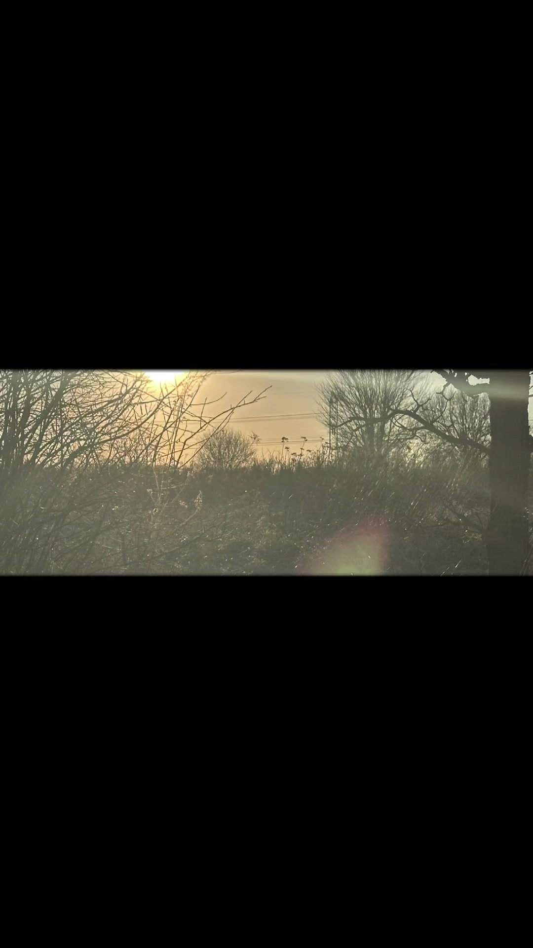 @J&uuml;nior✨