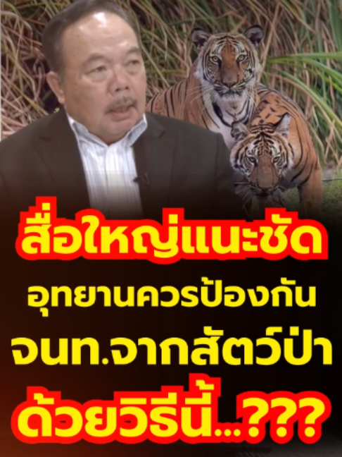 @news1