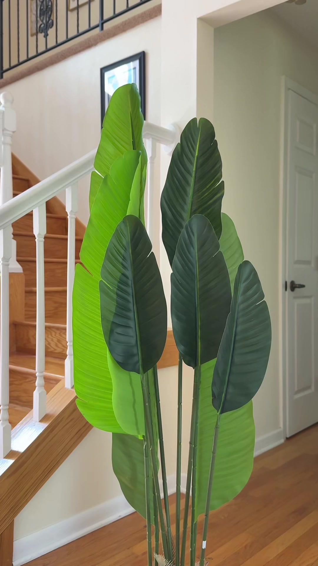 @AMIIRADA 🛍️
