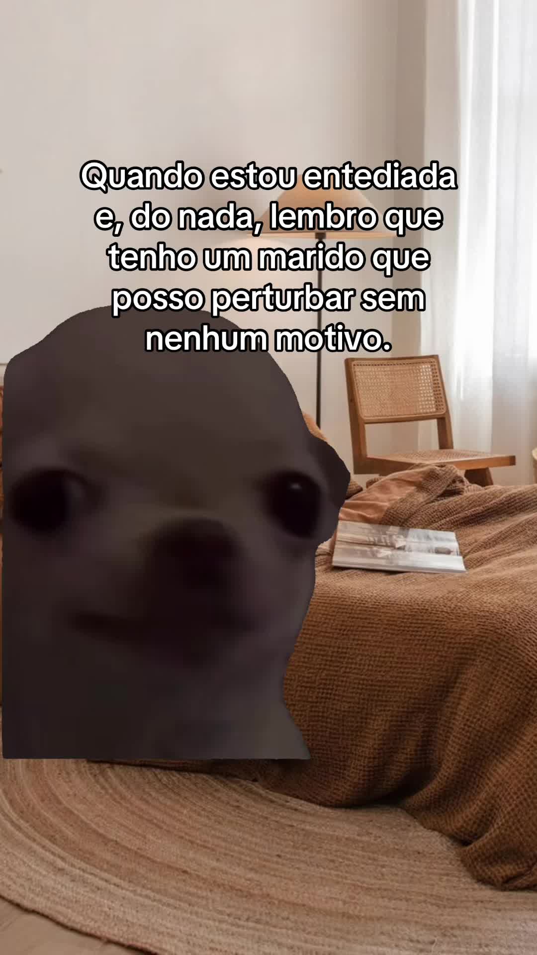 @tababadeira