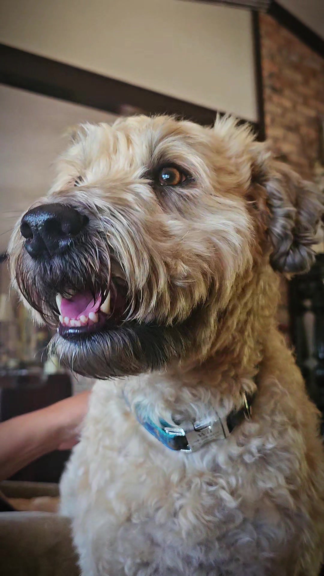 @The Belly Rub Hub