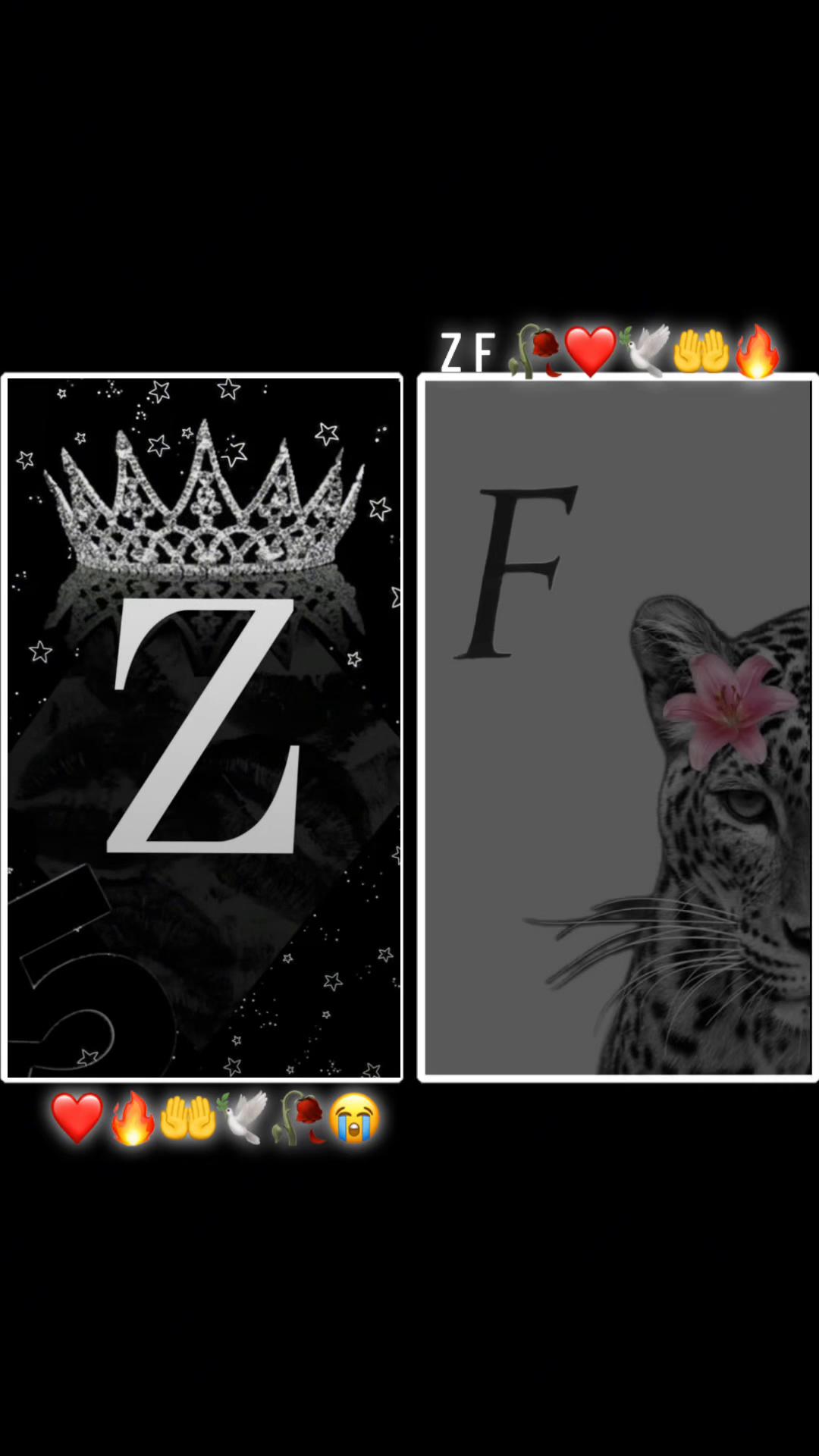 @S ZARGAY ❤️