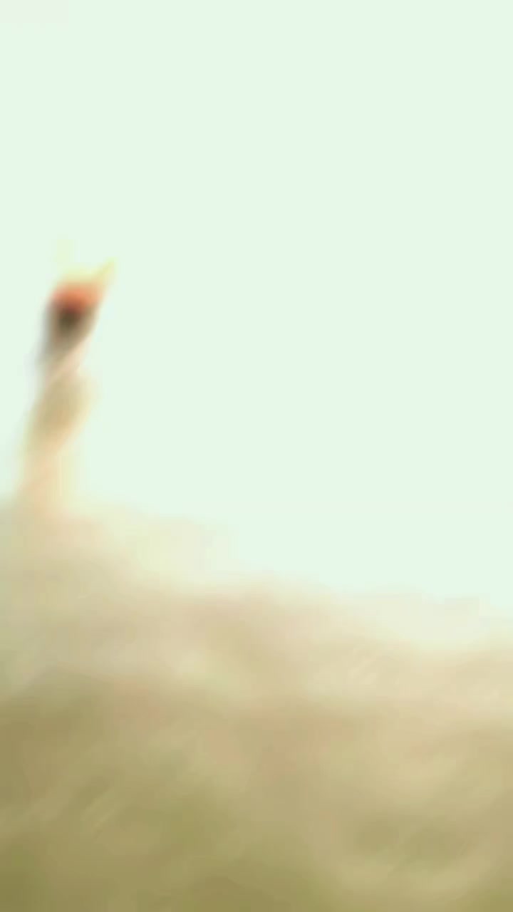 @M͎͍͐→a͎͍͐→z͎͍͐→h͎͍͐→a͎͍͐→r͎͍͐→