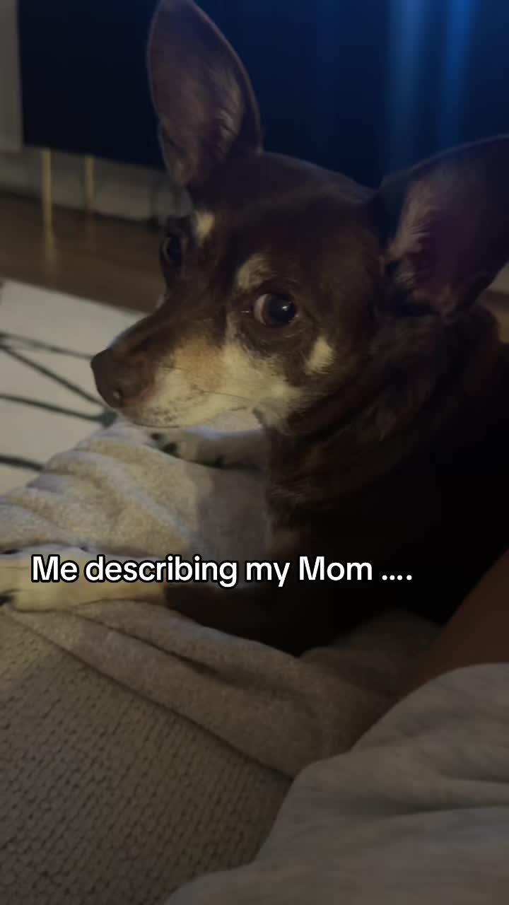 @Bruno28