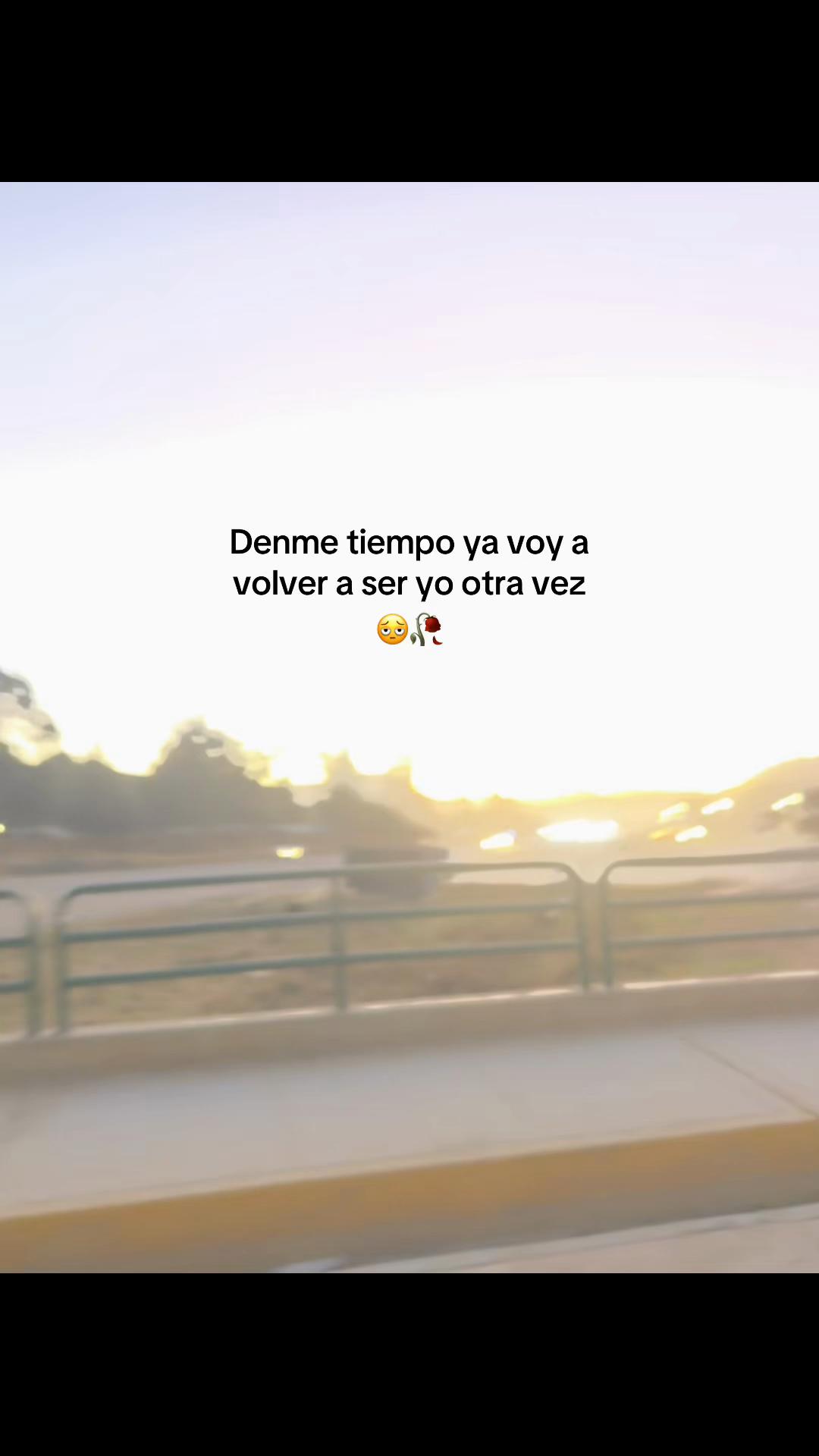 @Ismael 👤!