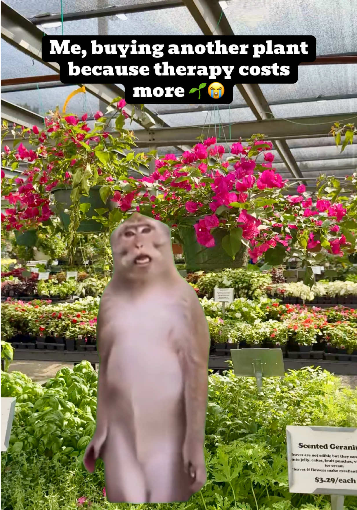 @Sara&rsquo;s Bites 🌱