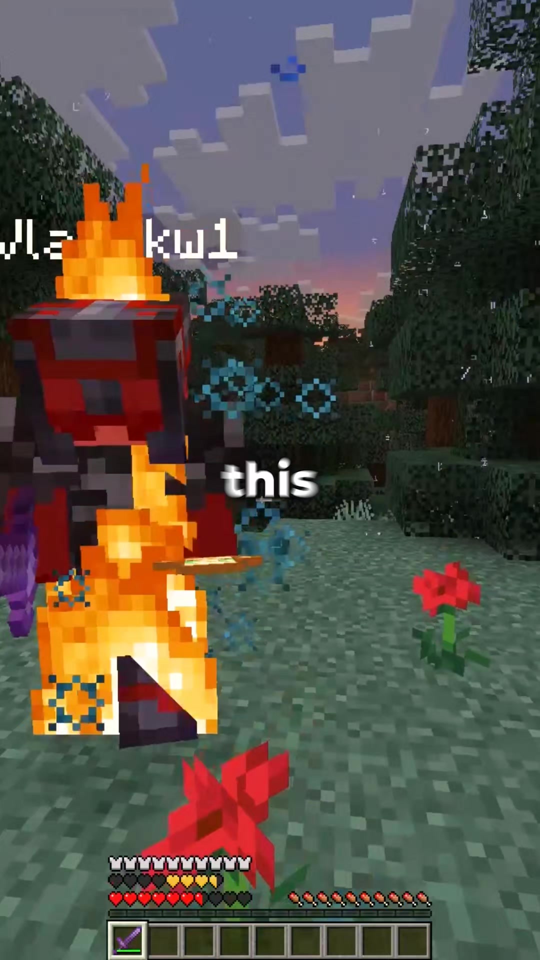 @RageMC