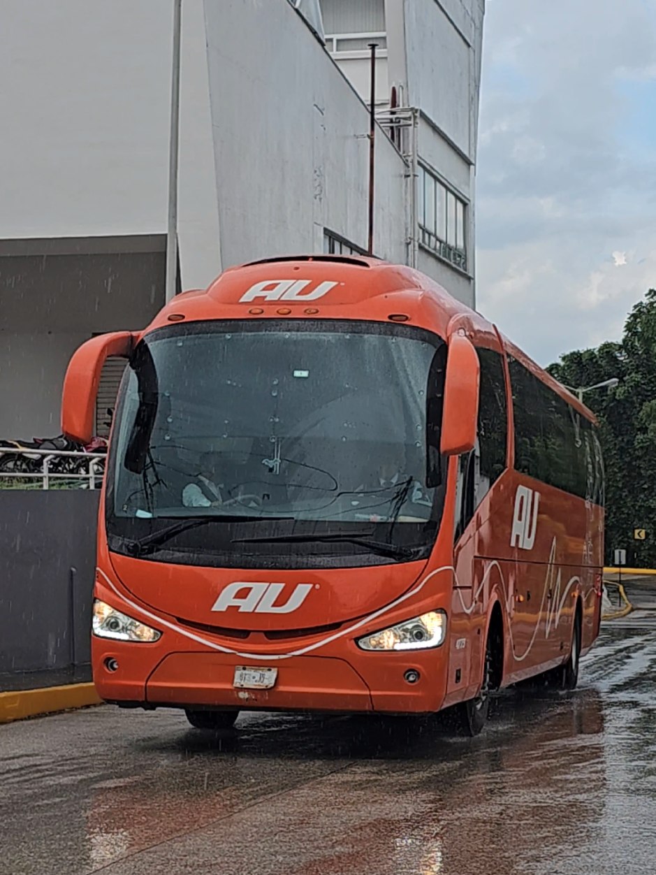 @cheit0:🚎🚎🇲🇽