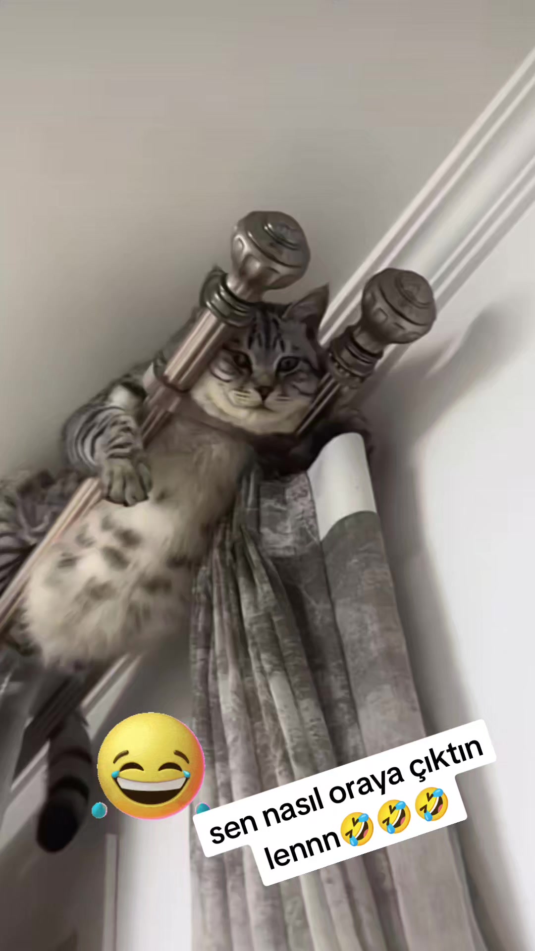 @gamzeli kızı 😊 minnoşlari