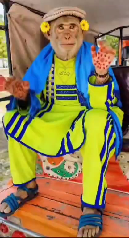 @مـــلــنــــګ جــــــان