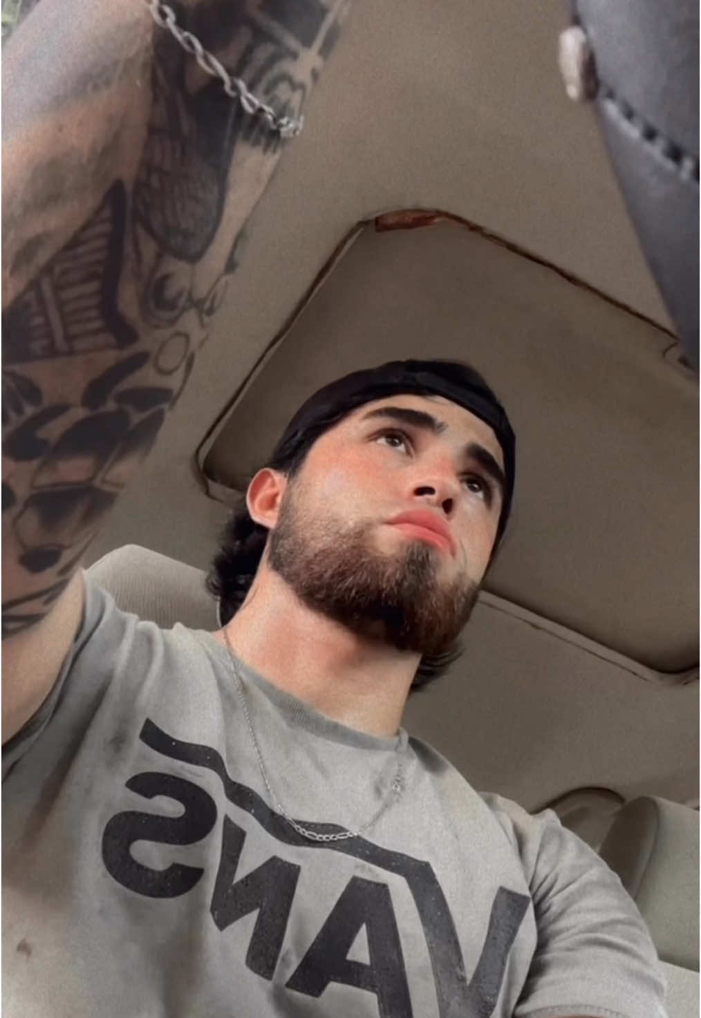 @Luisfer 🕷️