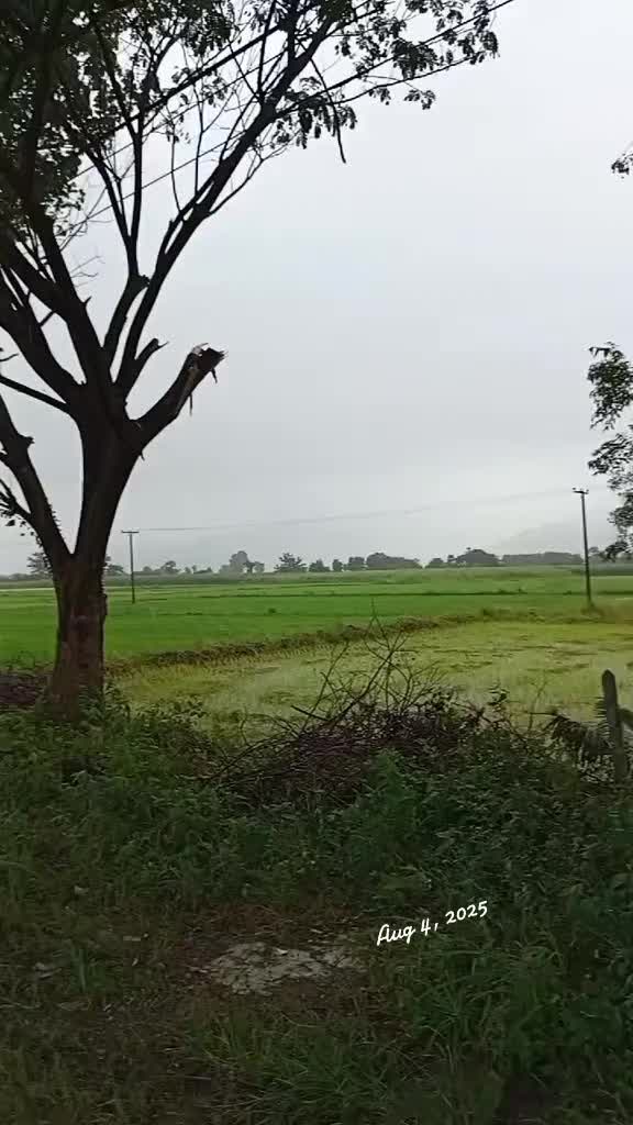 @ကိုထွန်းနေဇာထွေး(Official)