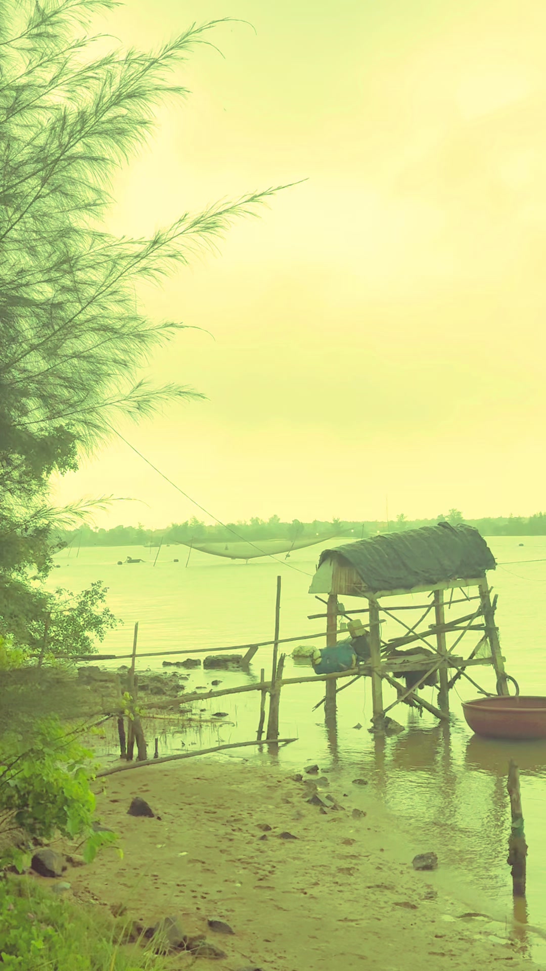 @Nguyễn T&ugrave;ng Sơn